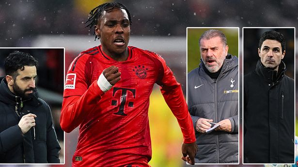 疑为球迷们 疑为球迷们